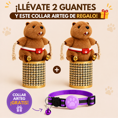 Guante Interactivo para Jugar con tu Gato